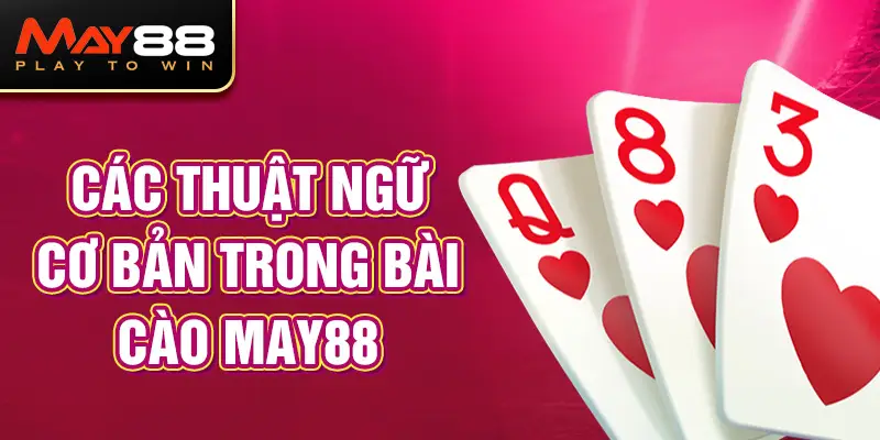 Các thuật ngữ cơ bản trong bài cào MAY88